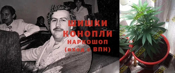 меф Няндома