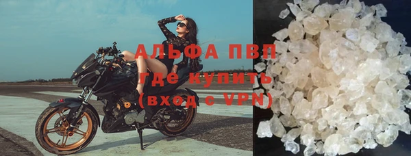 мяу мяу мука Осташков