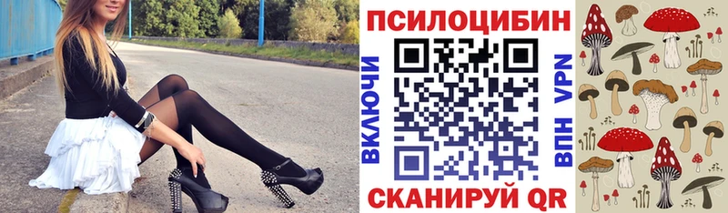 Псилоцибиновые грибы мицелий купить цена Калтан