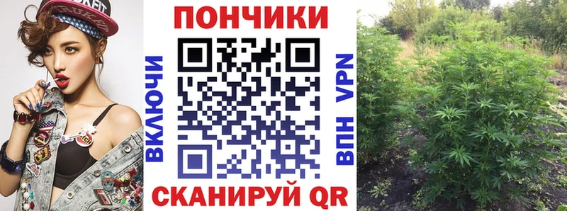 МАРИХУАНА конопля  кракен как зайти  Калтан 